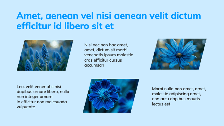 Parallex Blue Analytical slide 6